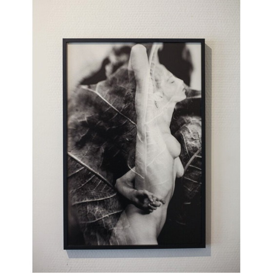 Image 1 of Tableau vintage Mouvements naturels 08 par Meïdhy Bichon, 2019