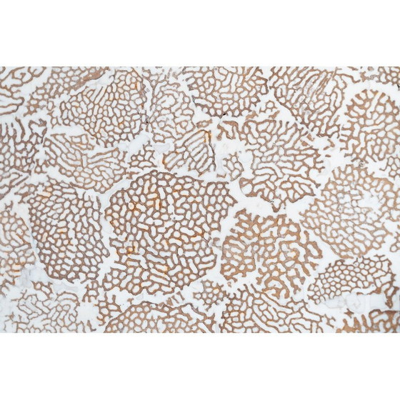 Image 1 of Table basse vintage Elite avec plateau en résine et termite, 1990