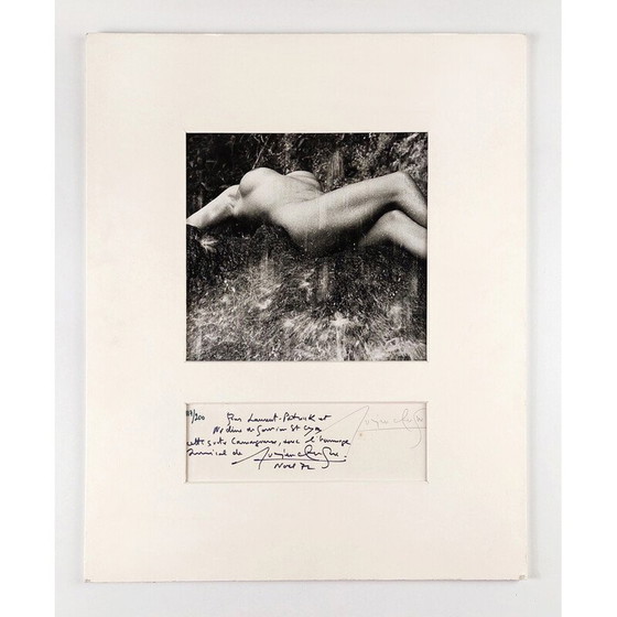 Image 1 of Peinture vintage "femme nue sous la cascade" par Lucien Clergue