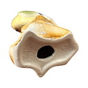 Figurine de perroquet en céramique, Brésil 1980S