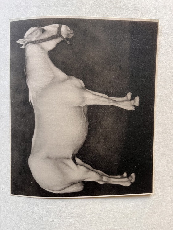 Image 1 of Jan Mankes 1889-1920 / Rare Oeuvre Book 1927 (Limited No. 11 Of 100)