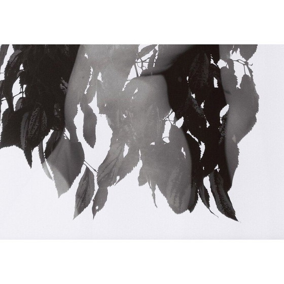 Image 1 of Tableau vintage Mouvements Naturels 01 par Meïdhy Bichon