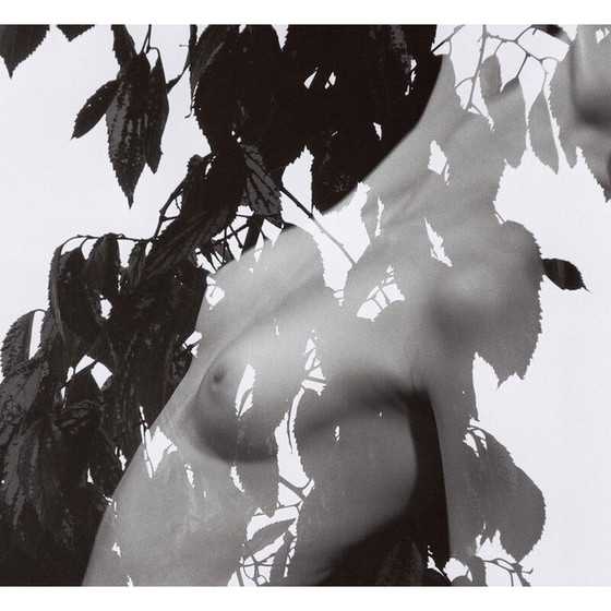 Image 1 of Tableau vintage Mouvements Naturels 01 par Meïdhy Bichon