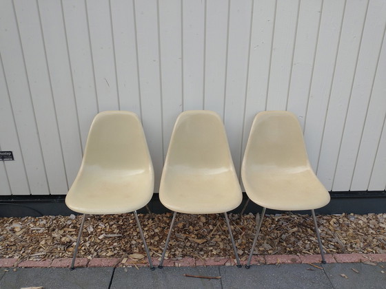 Image 1 of 3X Eames Dsx en fibre de verre