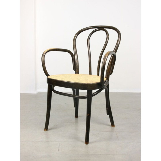 Image 1 of Chaise Vintage Wide No. 218 de Michael Thonet