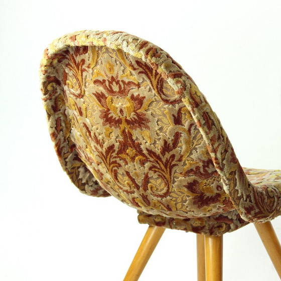 Image 1 of Paire de chaises Shell du milieu du siècle par Miroslav Navratil, Tchécoslovaquie années 1960