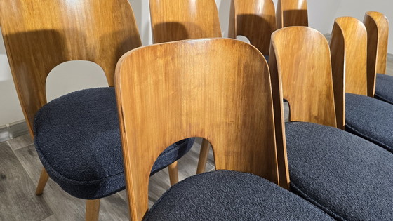 Image 1 of Chaises de salle à manger par Oswald Haerdtl, 1950, Ensemble de 8