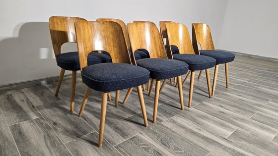 Image 1 of Chaises de salle à manger par Oswald Haerdtl, 1950, Ensemble de 8