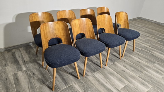 Image 1 of Chaises de salle à manger par Oswald Haerdtl, 1950, Ensemble de 8