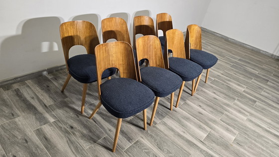 Image 1 of Chaises de salle à manger par Oswald Haerdtl, 1950, Ensemble de 8