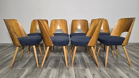 Image 1 of Chaises de salle à manger par Oswald Haerdtl, 1950, Ensemble de 8
