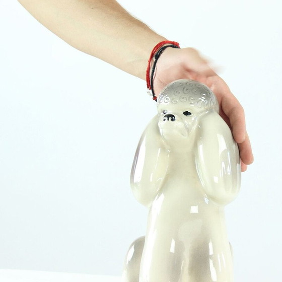 Image 1 of Statue de caniche vintage en porcelaine par Jikohera Tchécoslovaquie années 1960