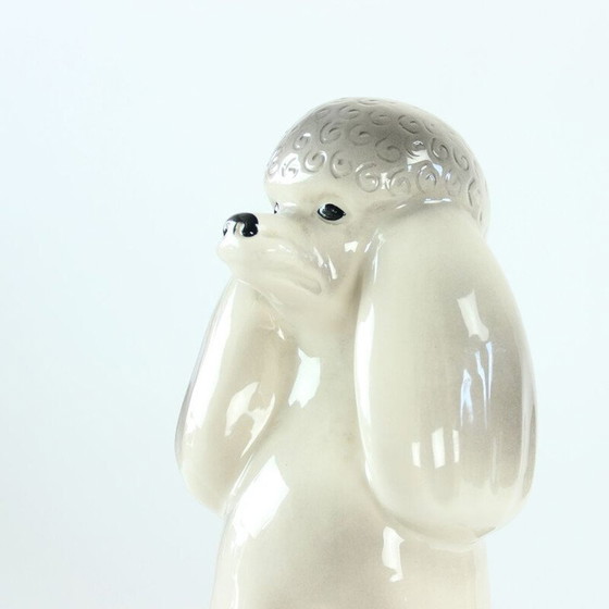 Image 1 of Statue de caniche vintage en porcelaine par Jikohera Tchécoslovaquie années 1960