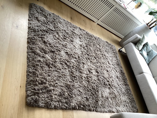 Tapis de Munk