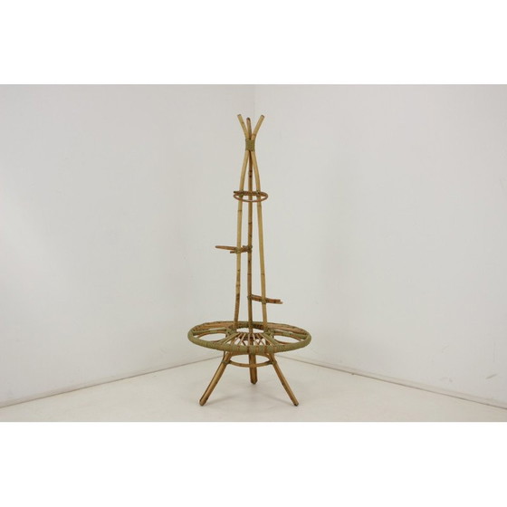 Image 1 of Porte-fleurs en rotin du milieu du siècle, Tchécoslovaquie années 1960