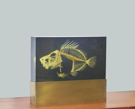 Image 1 of Lampe Inclusion Squelette De Poisson Pierre Giraudon Xxl