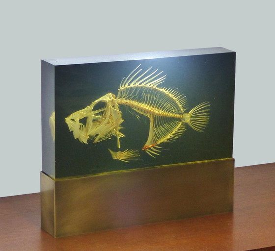 Image 1 of Lampe Inclusion Squelette De Poisson Pierre Giraudon Xxl