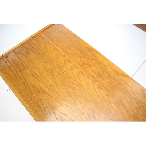 Image 1 of Commode vintage en chêne et plastique par Jiri Jiroutek, Tchécoslovaquie 1960