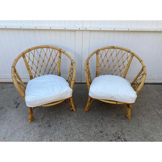 Image 1 of Fauteuils vintage en rotin et coussin, 1970