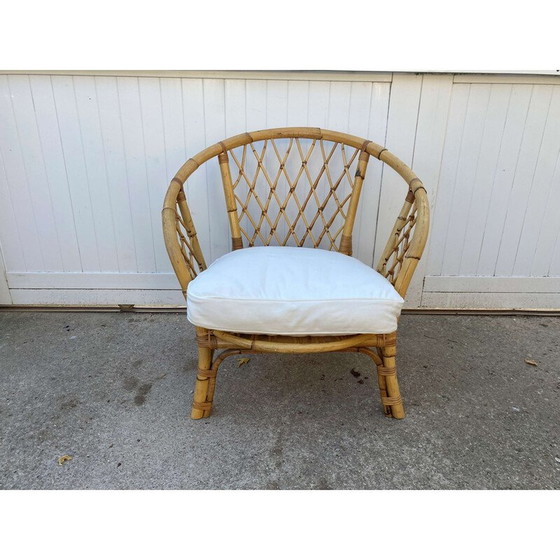 Image 1 of Fauteuils vintage en rotin et coussin, 1970