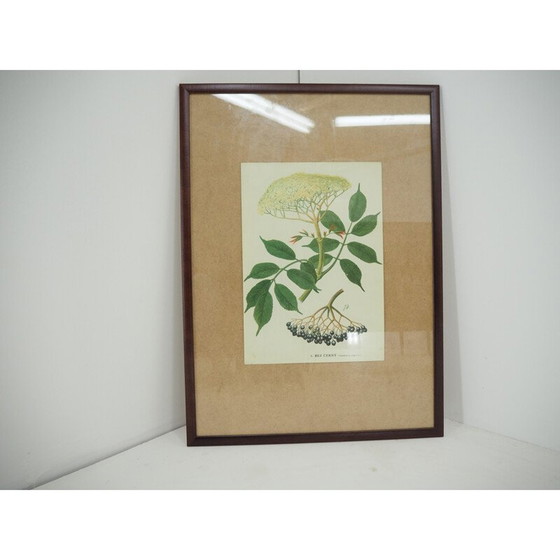 Image 1 of Affiche scolaire vintage, Tchécoslovaquie 1960