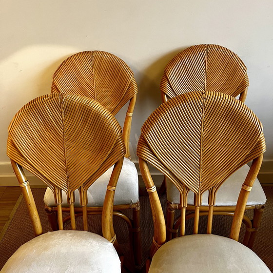 Image 1 of Chaises de table à manger en bambou et rotin au design italien