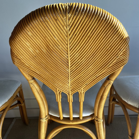 Image 1 of Chaises de table à manger en bambou et rotin au design italien