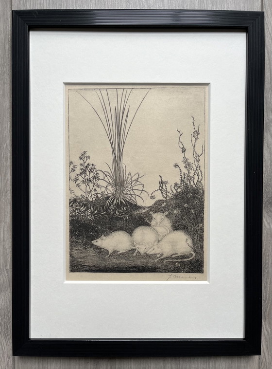 Image 1 of Jan Mankes 1889-1923 / Héliogravure originale 4 souris 1923 (superbement encadrée)
