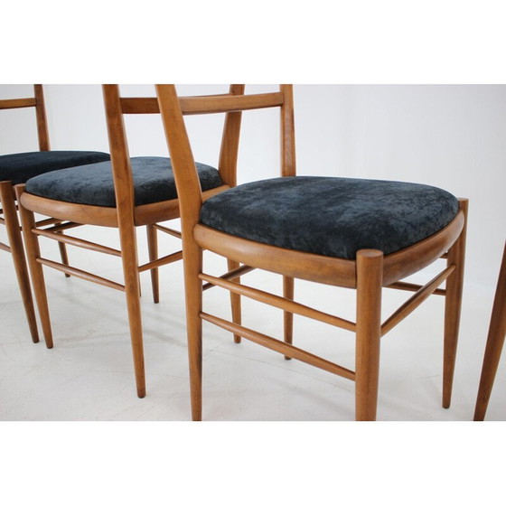 Image 1 of Ensemble de quatre chaises de salle à manger en bois de hêtre, Italie 1960.