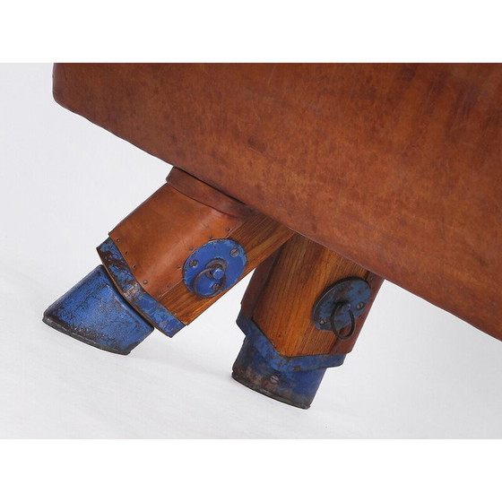 Image 1 of Banc de gymnastique vintage en cuir avec poignées en bois, Tchécoslovaquie, années 1930