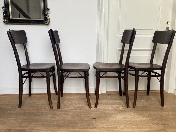 Image 1 of 4 X chaises Thonet avec impression crocodile