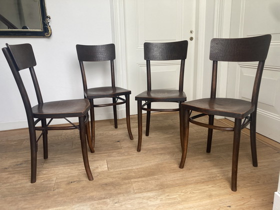 Image 1 of 4 X chaises Thonet avec impression crocodile