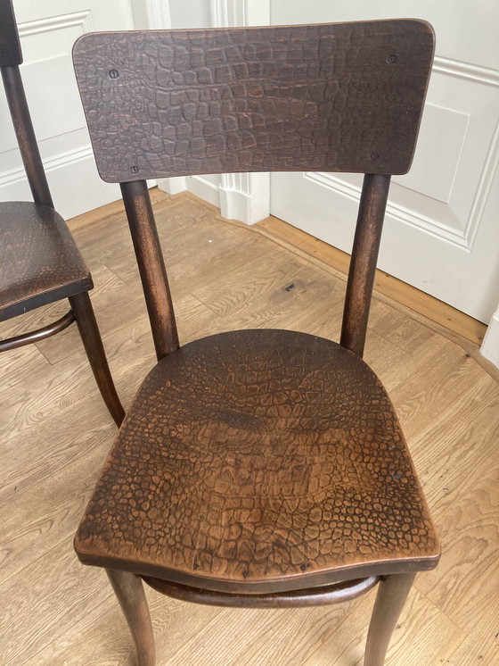 Image 1 of 4 X chaises Thonet avec impression crocodile