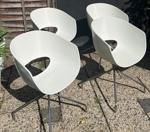 4x Eye Spider Sintesi Chairs