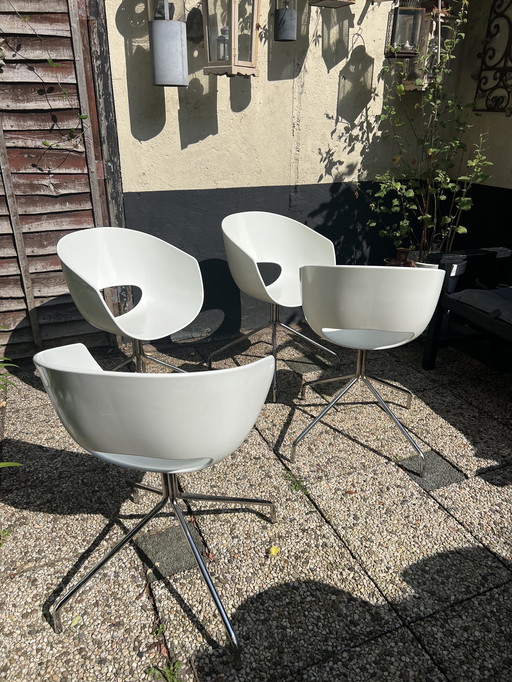 4x Eye Spider Sintesi Chairs