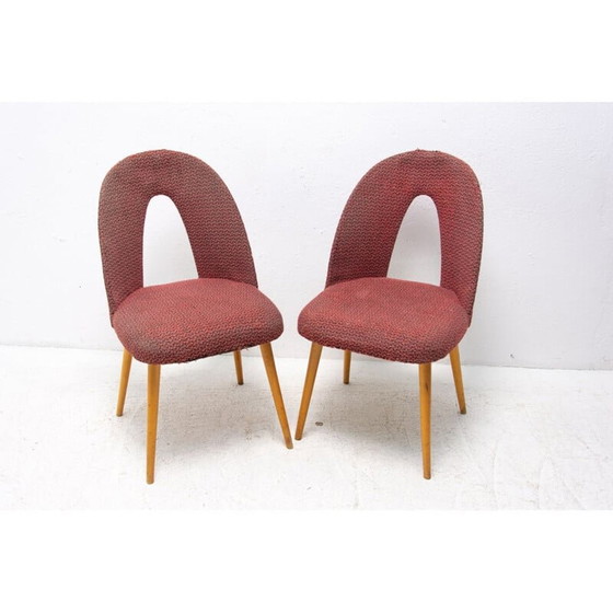 Image 1 of Paire de chaises vintage en tissu et hêtre par Antonín Šuman pour Tatra nábytok, Tchécoslovaquie 1960