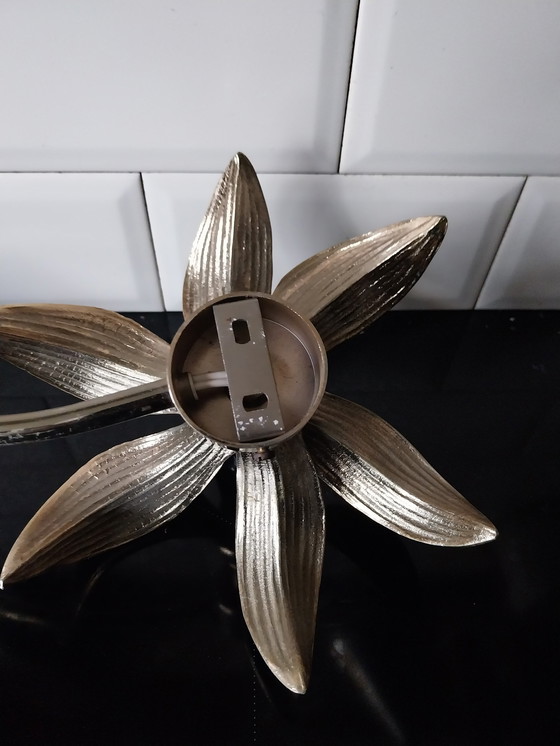 Image 1 of 2 X Willy Daro Wall/Ceiling Lamp 1960's For Massive