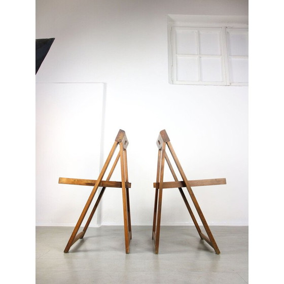 Image 1 of Paire de chaises Trieste vintage d'Aldo Jacober