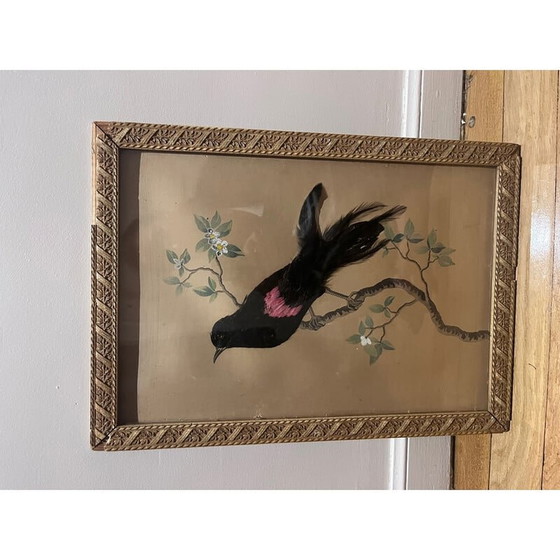 Image 1 of Illustration d'oiseau vintage avec collage de plumes, années 1930-1940