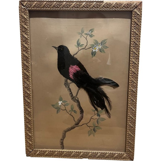Image 1 of Illustration d'oiseau vintage avec collage de plumes, années 1930-1940
