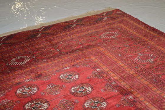 Image 1 of Tapis berbère rouge, fabriqué en Afghanistan