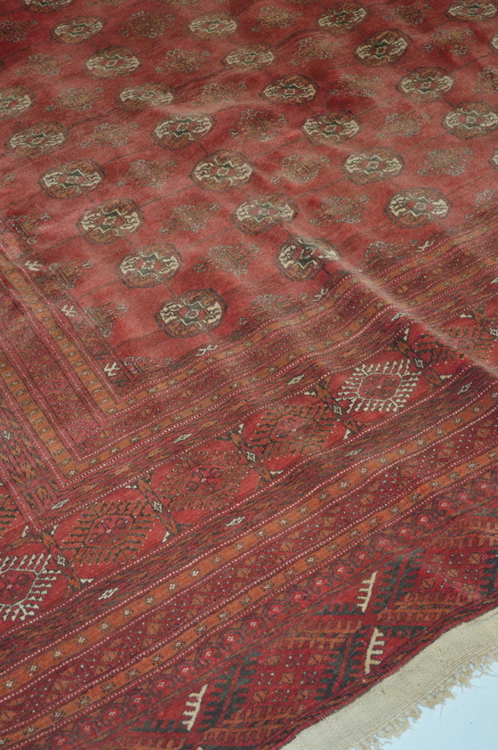 Image 1 of Tapis berbère rouge, fabriqué en Afghanistan