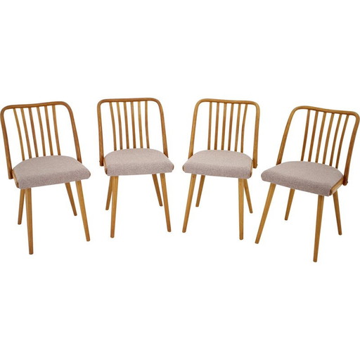 Ensemble de 4 chaises de salle à manger vintage en bois de chêne par Antonin Suman, Tchécoslovaquie 1970