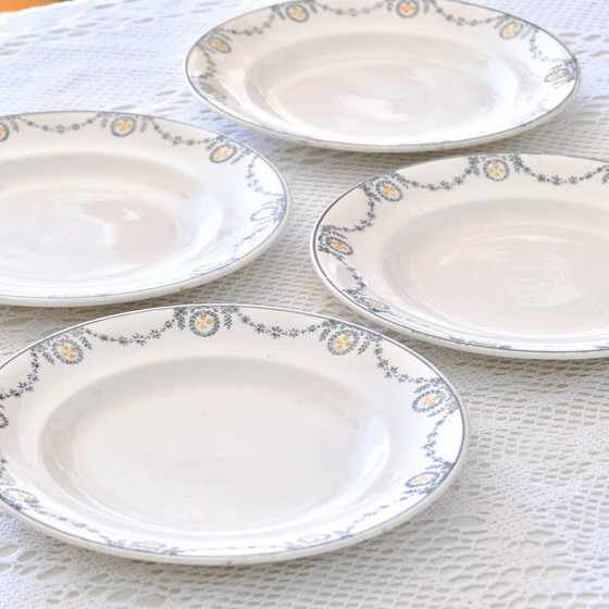 Image 1 of Assiettes Plates Longwy Collection "Moselle"