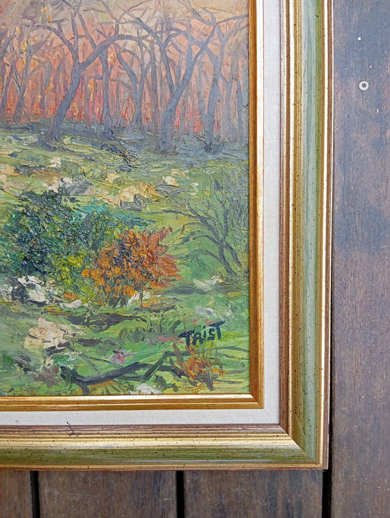 Image 1 of Huile Sur Toile Feu Forêt