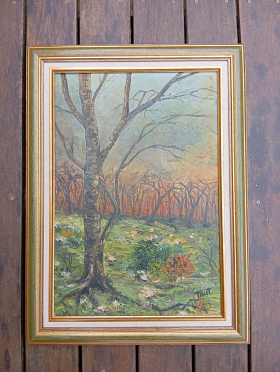 Image 1 of Huile Sur Toile Feu Forêt