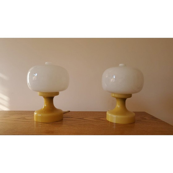 Image 1 of Paire de lampes de table en verre vintage, 1970