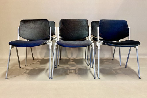 Suite De 6 Chaises "Giancarlo Piretti".