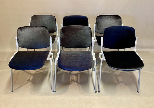 Suite De 6 Chaises "Giancarlo Piretti".