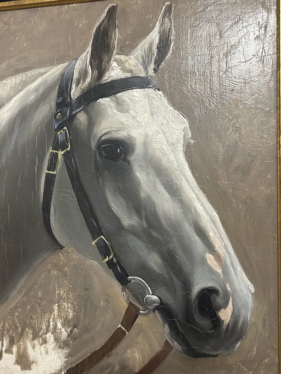 Image 1 of 2 tableaux Constant De Busschere (Pendant) "Portraits de chevaux"